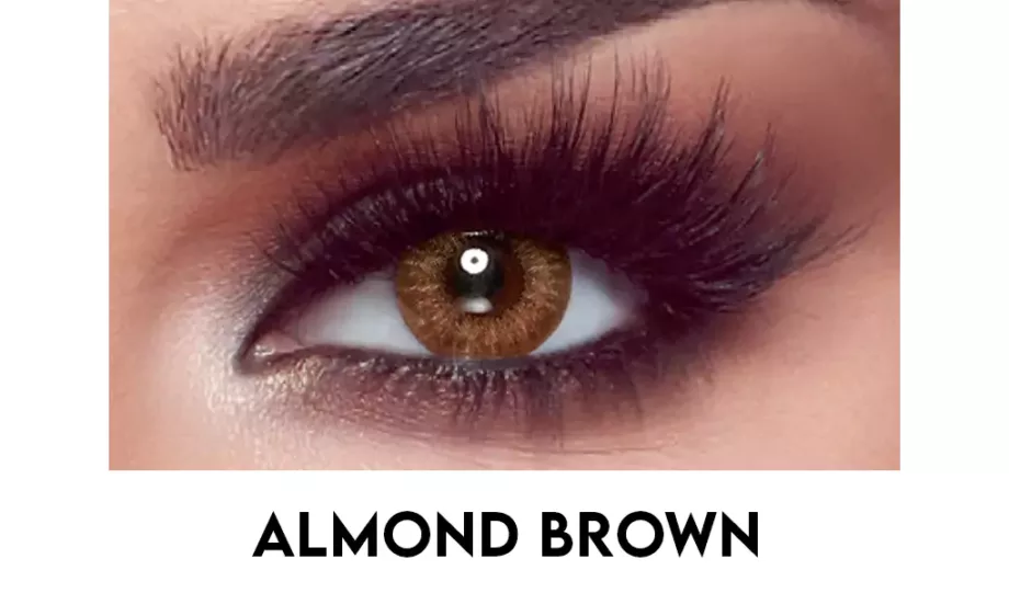 Almond Brown Bella Lenses