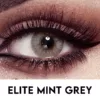Elite Mint Grey