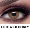 Bella Elite Wild Honey Lenses