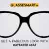 Wayfarer Glasses Frames 6647