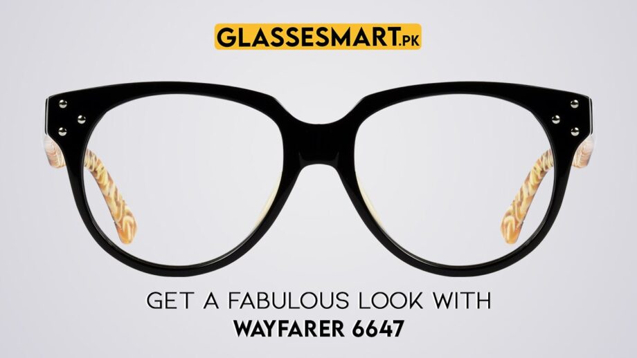 Wayfarer Glasses Frames 6647