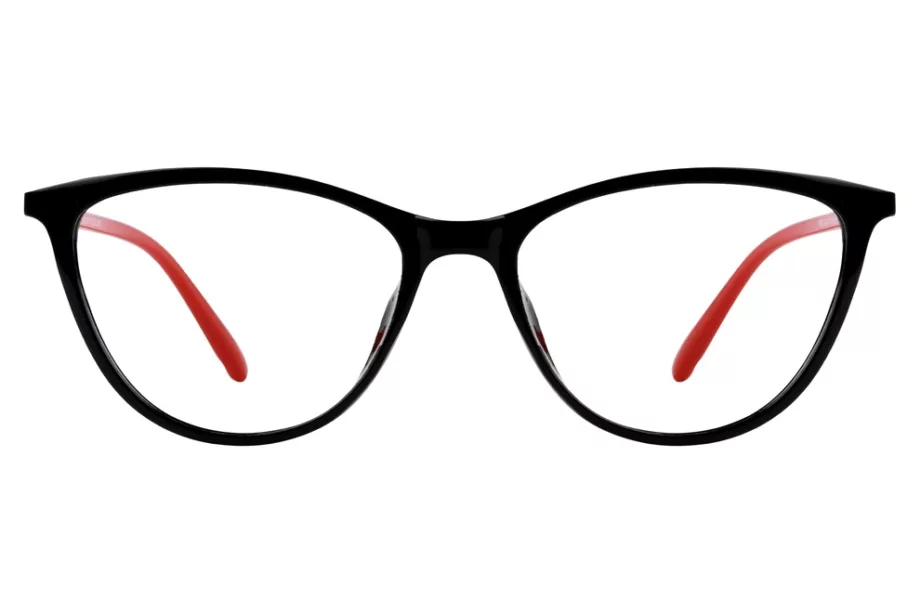 1693 eyeglasses